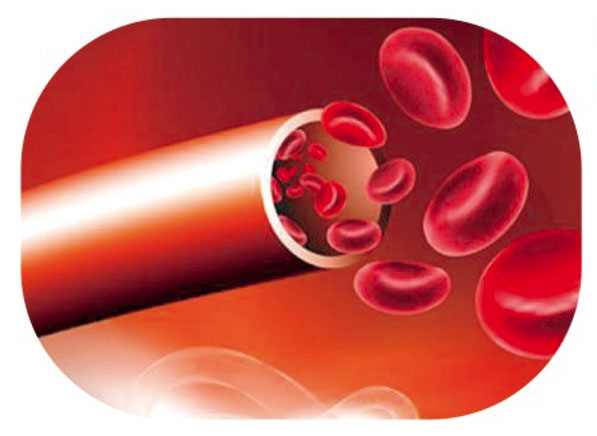 Cord Blood Hematopoietic Stem Cells